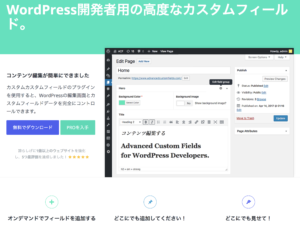 備忘録：カスタムフィールドで抜粋表示